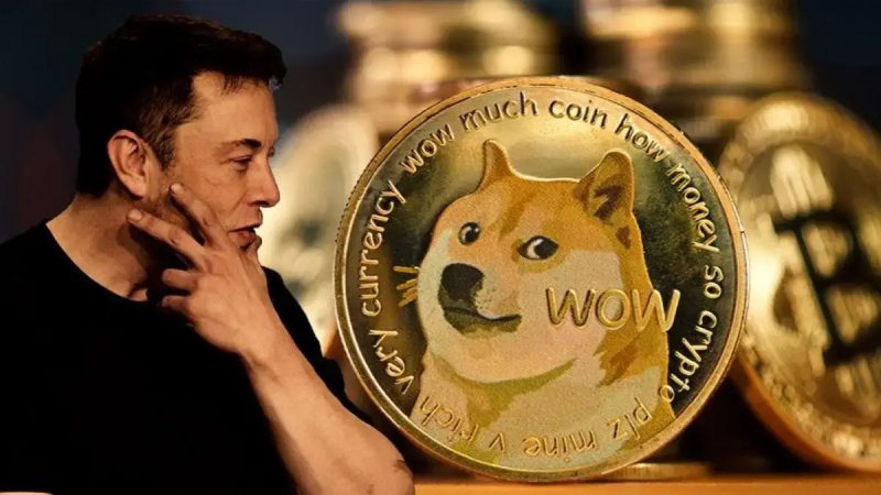 Could Dogecoin Become Part of Tesla Again?